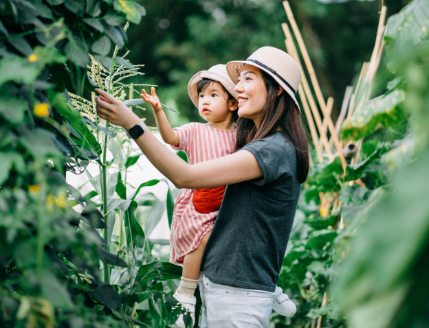 Woman holding young daughter in red dress looking at plants in a lush green vegetable garden