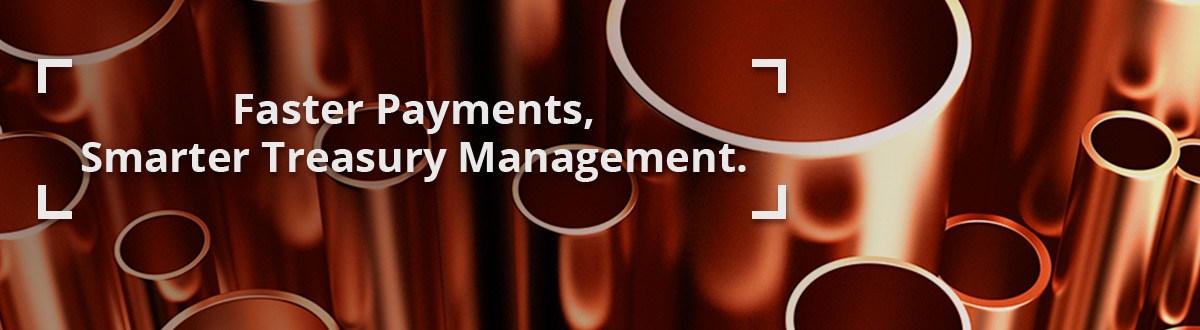 Faster Payments, Smarter Treasury Management