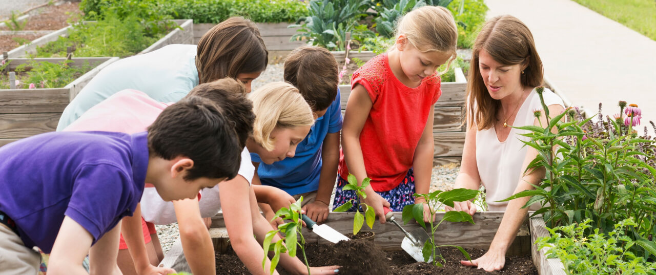A teacher and children gardening in a community garden