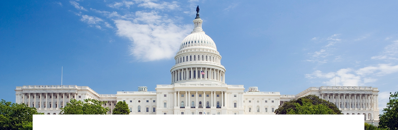 Image of US Capital Building in Washington DC