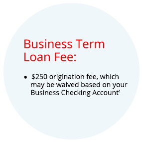 business term loan fee
