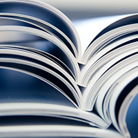 Commercial Executive Insights